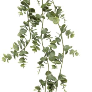 Okrasna rastilna 4LIVING evkaliptus - 603862